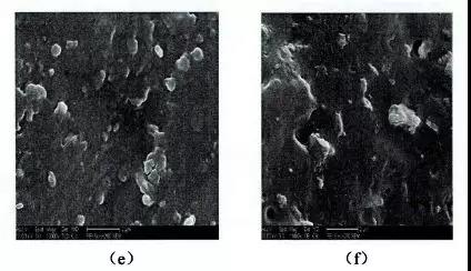 201904171040338747032.jpg